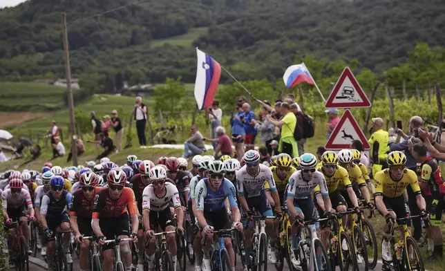 The pack rides during the 14th stage of the Giro d'Italia cycling race from Treviso to Nova Gorica/Gorizia, Italy, Saturday, May 24, 2025. (Marco Alpozzi/LaPresse via AP)