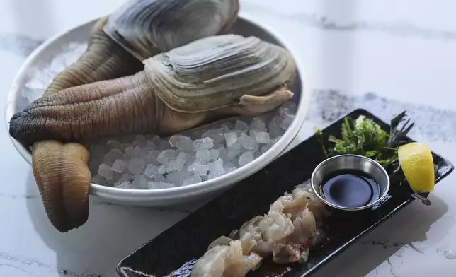 Two whole geoducks, left, are displayed with a sashimi preparation of the clam at right, at Chelsea Farms Oyster Bar in Olympia, Wash., on Friday, April 25, 2025. (AP Photo/Lindsey Wasson)