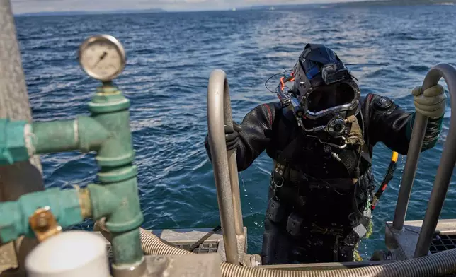 Suquamish Seafoods diver Joshua George returns to the F/V Carriere after a sample harvest of geoducks to send in for testing on the waters of Puget Sound near Suquamish, Wash., on Monday, April 21, 2025 (AP Photo/Lindsey Wasson)