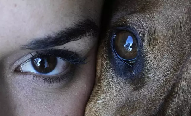 Magalí Maisonnave poses for a photo with her six-year-old dachshund Sandro, in Buenos Aires, Argentina, Sunday, April 6, 2025. (AP Photo/Natacha Pisarenko)