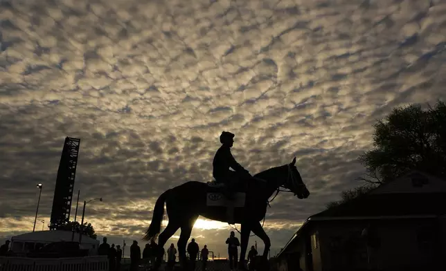 A horse comes off the track after a workout at Churchill Downs Monday, April 28, 2025, in Louisville, Ky. (AP Photo/Charlie Riedel)