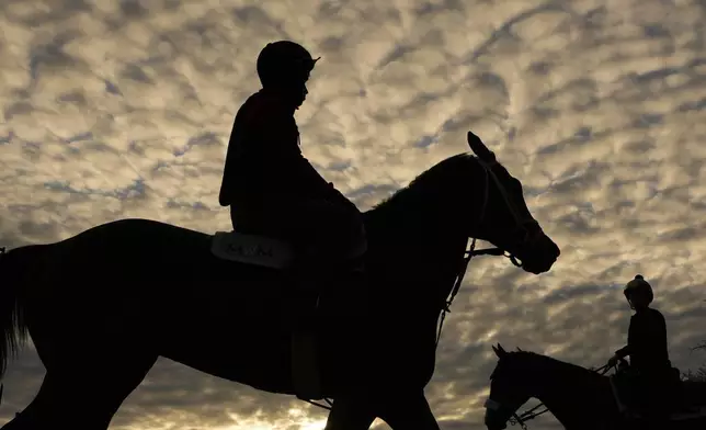 Horses pass as they leave and go to the track for a workout at Churchill Downs Monday, April 28, 2025, in Louisville, Ky. (AP Photo/Charlie Riedel)