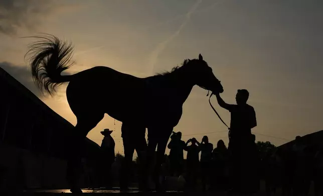 Kentucky Derby entrant Journalism gets a bath after a workout at Churchill Downs Tuesday, April 29, 2025, in Louisville, Ky. (AP Photo/Charlie Riedel)