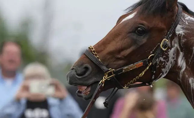Kentucky Derby entrant Journalism gets a bath after a work out at Churchill Downs Wednesday, April 30, 2025, in Louisville, Ky. (AP Photo/Charlie Riedel)