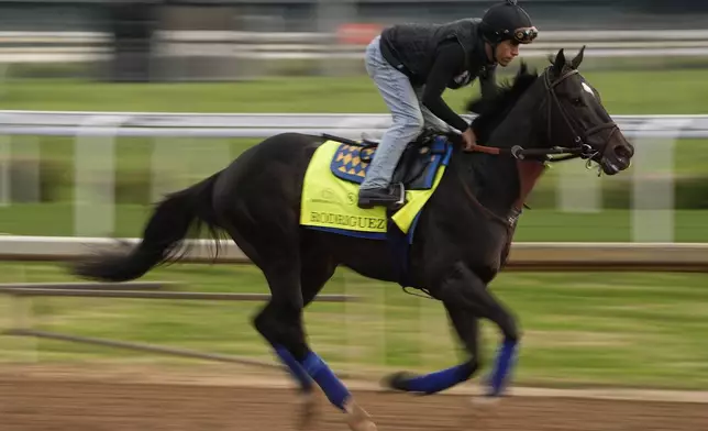 Kentucky Derby entrant Rodriguez works out at Churchill Downs Thursday, May 1, 2025, in Louisville, Ky. (AP Photo/Charlie Riedel)