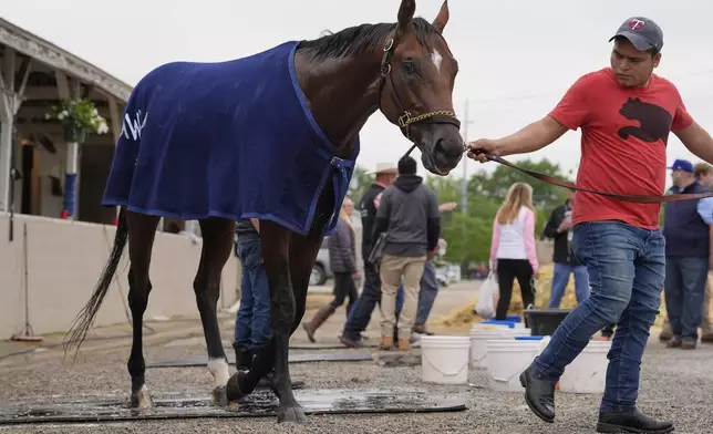Kentucky Derby entrant Journalism is led back to the barn after getting a bath at Churchill Downs Wednesday, April 30, 2025, in Louisville, Ky. (AP Photo/Charlie Riedel)