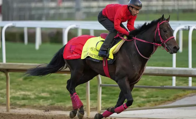 Kentucky Derby hopeful Admire Daytona works out at Churchill Downs Monday, April 28, 2025, in Louisville, Ky. (AP Photo/Charlie Riedel)