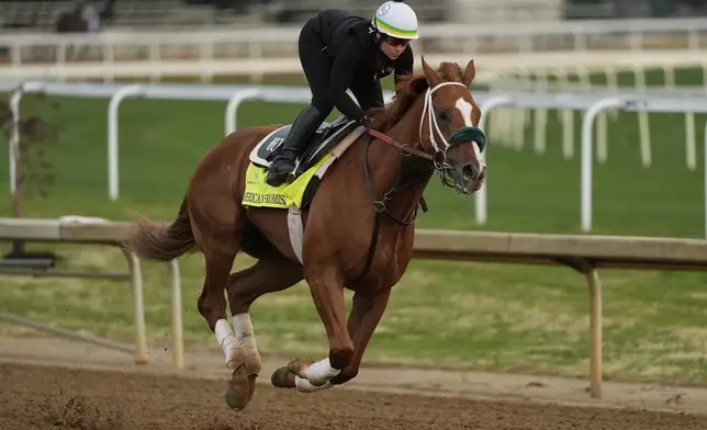 Kentucky Derby entrant American Promise works out at Churchill Downs Tuesday, April 29, 2025, in Louisville, Ky. (AP Photo/Charlie Riedel)