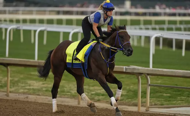 Kentucky Derby entrant Neoequos works out at Churchill Downs Tuesday, April 29, 2025, in Louisville, Ky. (AP Photo/Charlie Riedel)