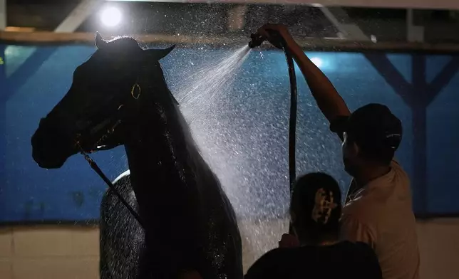 A horse gets a bath after a workout at Churchill Downs Thursday, May 1, 2025, in Louisville, Ky. (AP Photo/Charlie Riedel)
