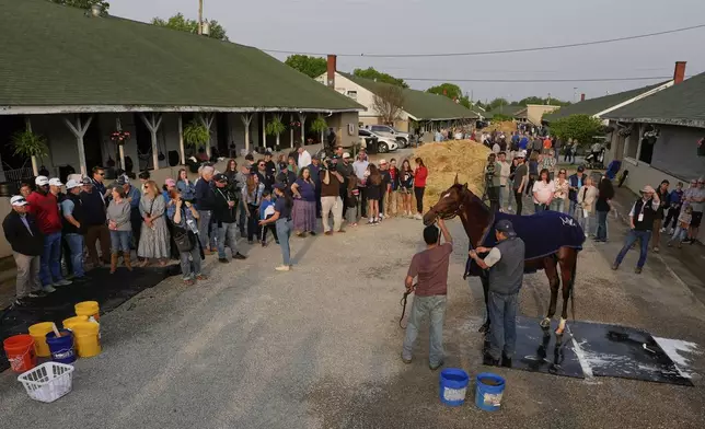 People watch while Kentucky Derby entrant Journalism gets a bath after a workout at Churchill Downs Tuesday, April 29, 2025, in Louisville, Ky. (AP Photo/Charlie Riedel)