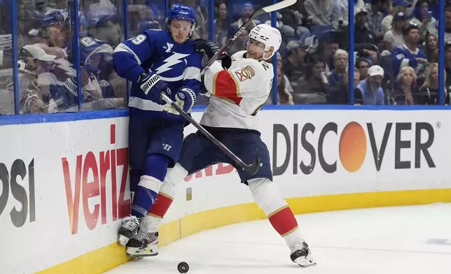 Florida Panthers defenseman Gustav Forsling (42) checks Tampa Bay Lightning center Jake Guentzel (59) into the dasher during the second period in Game 5 of an NHL hockey Stanley Cup first-round playoff series, Wednesday, April 30, 2025, in Tampa, Fla. (AP Photo/Chris O'Meara)