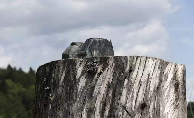 Ankles of sawed off and taken away bronze statue which represented Melania Trump remain on the tree stump where it was placed in 2020, in the village of Rozno, Slovenia, Friday, May 16, 2025, near Melania Trump's hometown of Sevnica. (AP Photo/Relja Dusek)
