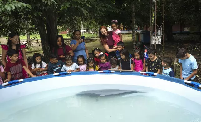Bacuri, a rescued manatee, swims as children observe in the Emilio Goeldi Museum's scientific base at Caxiuana National Forest in Para state, Brazil, Friday, March 21, 2025. (AP Photo/Jorge Saenz)