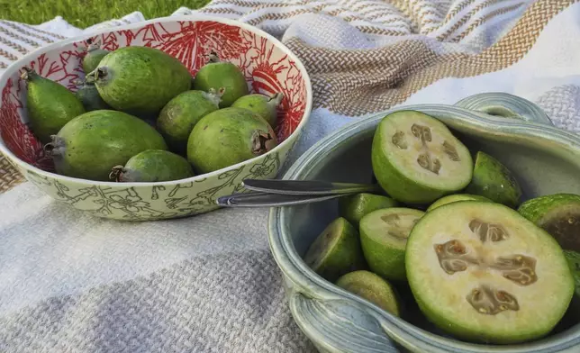 Feijoas is seen outside a house in Wellington, New Zealand, Monday, May 12, 2025. (AP Photo/Charlotte Graham-McLay)