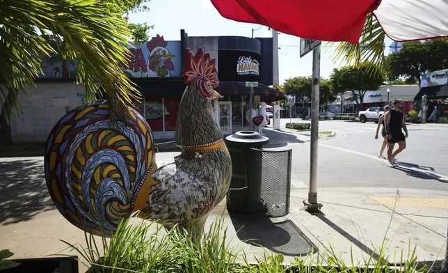 A sculpture of a rooster is displayed on Calle Ocho in the Little Havana neighborhood of Miami, Wednesday, May 7, 2025. (AP Photo/Lynne Sladky)