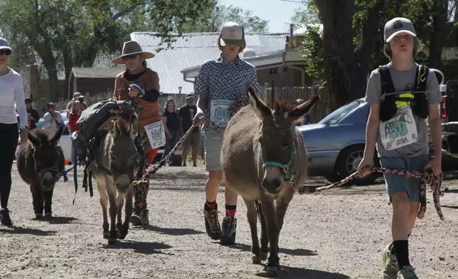 Pack burros and their human companions race through the streets of a former mining town and across backcountry desert trails in Cerrillos, N.M., on Saturday, May 3, 2025. (AP Photo/Morgan Lee)
