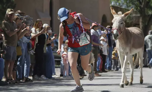 Pack burros and their human companions race through the streets of a former mining town and across backcountry desert trails in Cerrillos, N.M., on Saturday, May 3, 2025. (AP Photo/Morgan Lee)