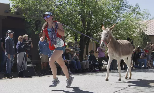 Pack burros and their human companions race through the streets of a former mining town and across backcountry desert trails in Cerrillos, N.M., on Saturday, May 3, 2025. (AP Photo/Morgan Lee)