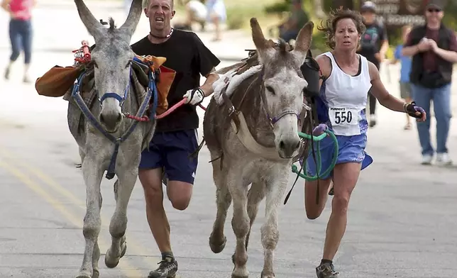 FILE - Racers Bobby Lewis, left, and Barb Dolan sprint to the finish line with their burros "Wellstone" and "Chugs" respectively, to tie for 1st place during the Gold Rush Days festival, Aug. 15, 2004, in Buena Vista, Colo. (AP Photo/Ed Kosmicki, File)