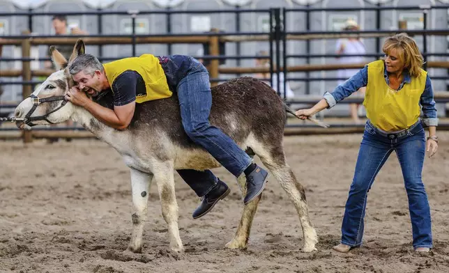 FILE - Team Yellow competes in the Burro Racing at the Beaver Creek Rodeo on Thursday, June 28, 2018, in Avon, Colo. (Chris Dillmann/Vail Daily via AP, File)