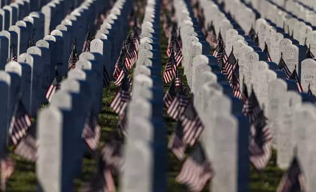 American flags sit in front of headstones during Memorial Day on Monday, May 26, 2025, at Great Lakes National Cemetery in Holly Township, Mich. (Ayrton Breckenridge/The Flint Journal via AP)