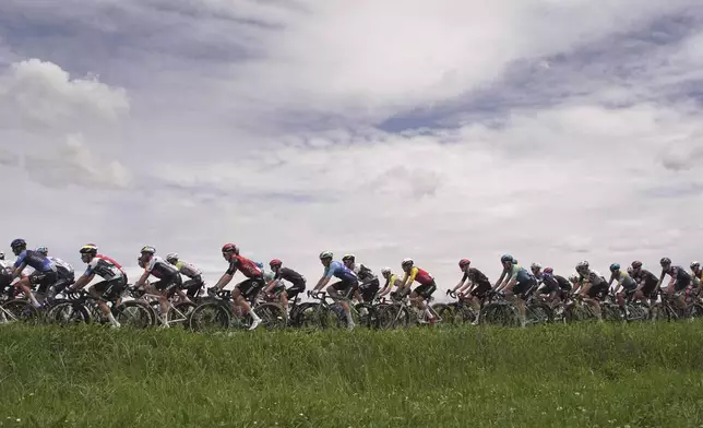 The pack rides during the 13th stage of the Giro d'Italia cycling race from Rovigo to Vicenza, Italy, Friday, May 23, 2025. (Marco Alpozzi/LaPresse via AP)