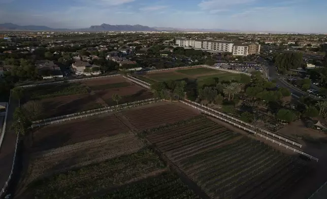 Farmland sits amid Agritopia, a community nestled around a plot of agricultural land, on Monday, April 21, 2025, in Gilbert, Ariz. (AP Photo/Joshua A. Bickel)