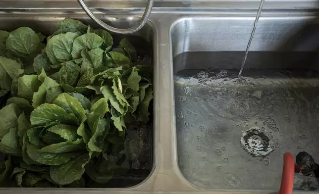 Lettuce is washed at Agritopia, a community nestled around a plot of agricultural land, April 22, 2025, in Gilbert, Ariz. (AP Photo/Annika Hammerschlag)