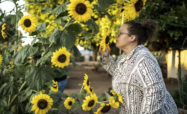 Sabrina Mathisen stops to smell the flowers at a garden in Agritopia, a community nestled around a plot of agricultural land, April 21, 2025, in Gilbert, Ariz. (AP Photo/Annika Hammerschlag)
