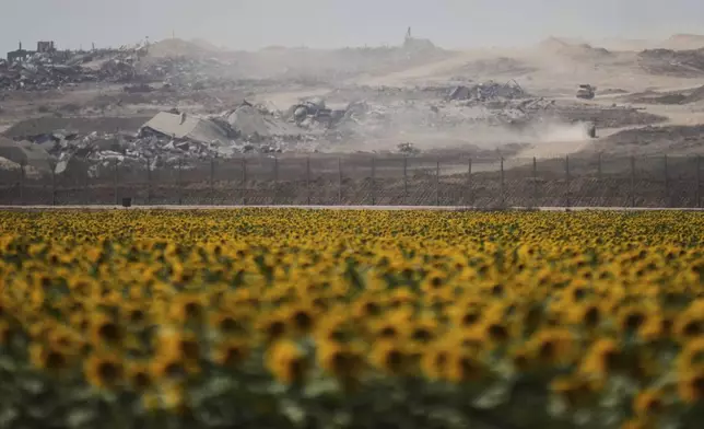 Destroyed buildings in the Gaza Strip are seen beyond a sunflower field on the Israeli side of the border with Gaza, Monday, May 19, 2025. (AP Photo/Ohad Zwigenberg)
