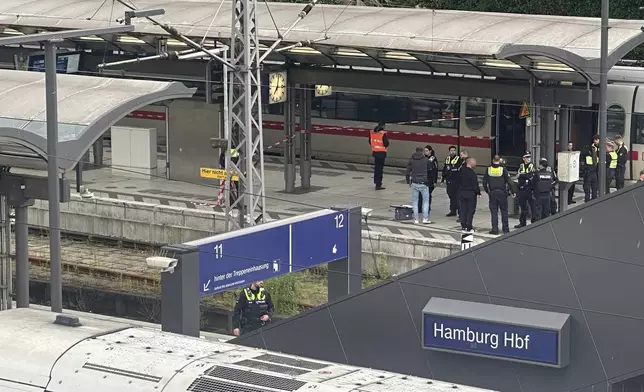 Police at the scene of a stabbing at Hamburg Central Station in Hamburg, Germany, Friday, May 23, 2025. (Steven Hutchings/dpa via AP)