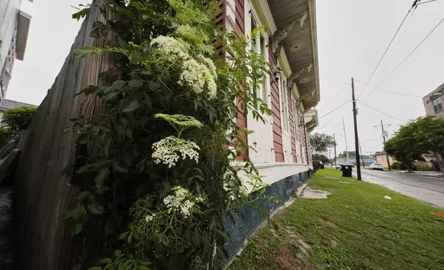 A neighborhood is seen in the 7th Ward, Friday, May 9, 2025 in New Orleans, which is the community where the grandparents of Pope Leo XIV lived. (AP Photo/Gerald Herbert)