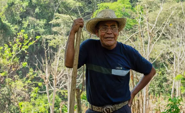 Deacon Juan Pérez Gómez pauses for a work break on his farm in the Simojovel municipality, Mexico, Saturday, April 26, 2025. (AP Photo/Isabel Mateos)