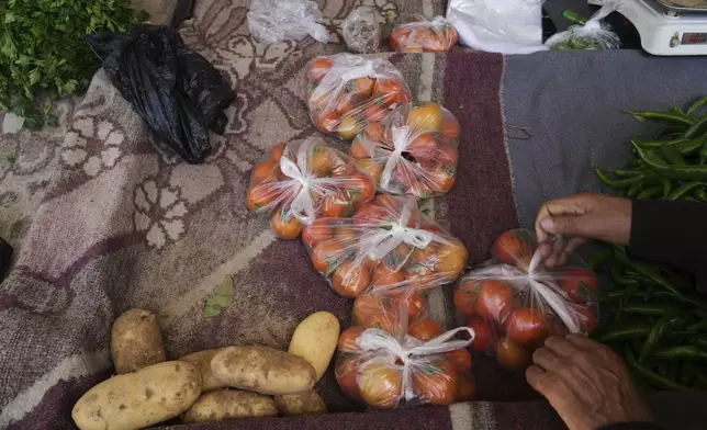 A Palestinian vendor ties bags of tomatoes at a makeshift market in Khan Younis, Gaza Strip, Sunday, May 11, 2025. (AP Photo/Abdel Kareem Hana)