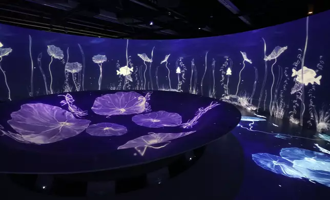 Selected exhibits at the “The Ways in Patterns: An Immersive Digital Exhibition from the Palace Museum”.