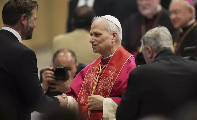 Pope Leo XIV's meets Vice President JD Vance after the formal inauguration of his pontificate in St. Peter's Square, at the Vatican, Sunday, May 18, 2025. (AP Photo/Alessandra Tarantino)