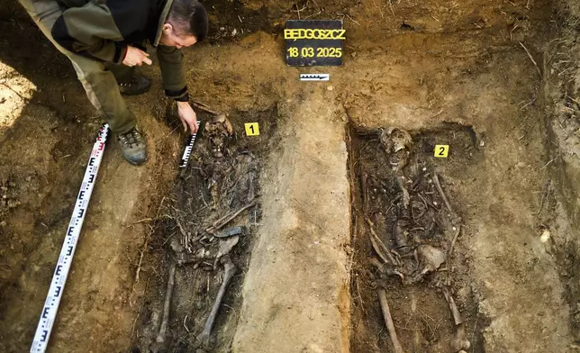 Commission works on the exhumation of fallen German WWII soldier in Bedgoszcz, near Szczecin, Poland, Tuesday, March 18, 2025. (AP Photo/Markus Schreiber)