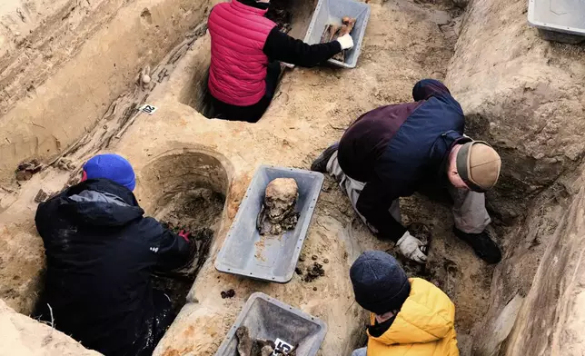 Workers of the German War Graves Commission exhume the remains of German WWII soldiers in Ostrołęka, Poland, Wednesday, March 19, 2025. (AP Photo/Czarek Sokolowski)
