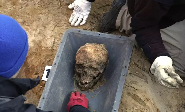 Workers of the German War Graves Commission work on the exhumation of remains of German WWII soldiers in Ostrołęka, Poland, Wednesday, March 19, 2025. (AP Photo/Czarek Sokolowski)