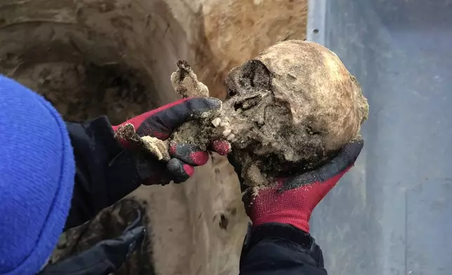 A worker of the German War Graves Commission holds a skull in his hands as he works on the exhumation of remains of German WWII soldiers in Ostrołęka, Poland, Wednesday, March 19, 2025. (AP Photo/Czarek Sokolowski)