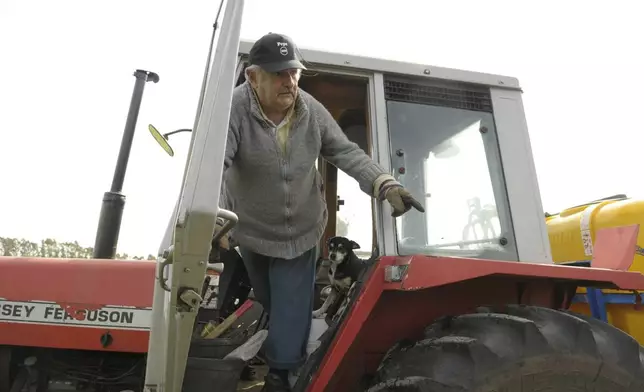FILE - Jose "Pepe" Mujica, 74, presidential hopeful for the governing Broad Front leftist coalition, stands in a tractor on his flower farm after voting in Uruguay's general elections, on the outskirts of Montevideo, Oct. 25, 2009. (AP Photo/Matilde Campodonico, File)