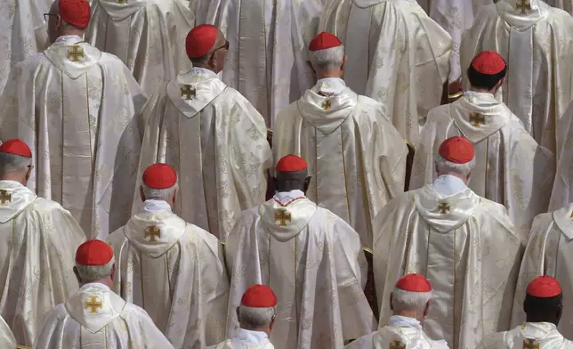 Cardinals attend a Mass for the formal inauguration of Pope Leo XIV's pontificate, in St. Peter's Square, attended by heads of state, royalty and ordinary faithful, Sunday, May 18, 2025. (AP Photo/Stefano Costantino)