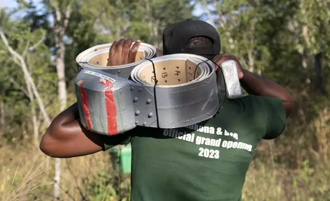 Zimbabwe Parks and Wildlife Management Authority officer carries a collar to be used to track an in elephant in the Hwange National Park, Zimbabwe, Tuesday, April 29 2025. (AP Photo/Aaron Ufumeli)