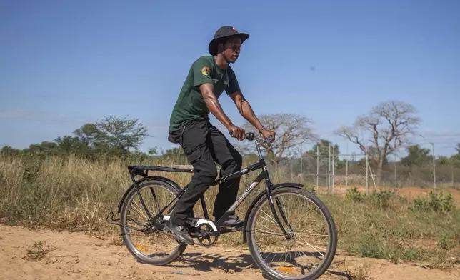 Capon Sibanda, a local volunteer trained to be a community guardian for encounters between people and elephants, rides on a bicycle in Hwange, Zimbabwe, Wednesday, April 30, 2025. (AP Photo/Aaron Ufumeli)