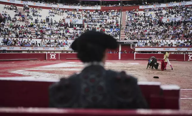 Mexican bullfighter Arturo Gilio partakes in a bullfight in Aguascalientes, Mexico, Sunday, April 27, 2025. (AP Photo/Eduardo Verdugo)