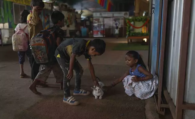 Children play with a kitten at the Signal Shala school in Thane near Mumbai, India, April 9, 2025. (AP Photo/Rafiq Maqbool)