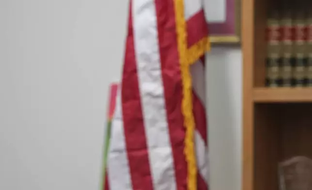 A 4-year-old Mexican girl, who has short bowel syndrome, attends a news conference in Los Angeles, Wednesday, May 28, 2025, after her and her mother's humanitarian parole was terminated and they were ordered to self-deport. (AP Photo/Jae C. Hong)