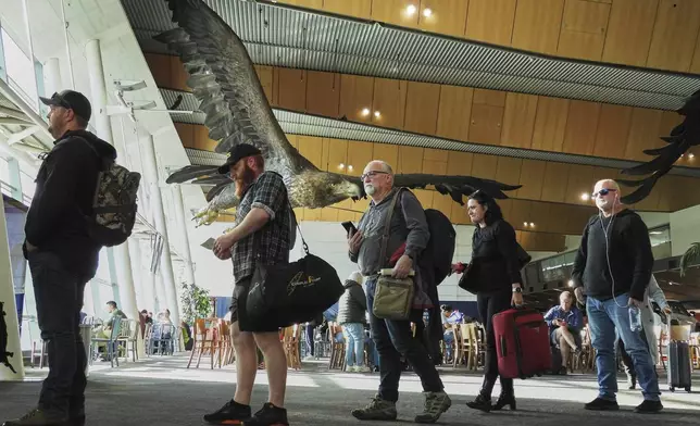 Passengers wait to board a flight at Wellington Airport below the sculpture of an eagle from the Hobbit films, in Wellington, New Zealand, Monday, May 5, 2025. (AP Photo/Charlotte Graham-McLay)
