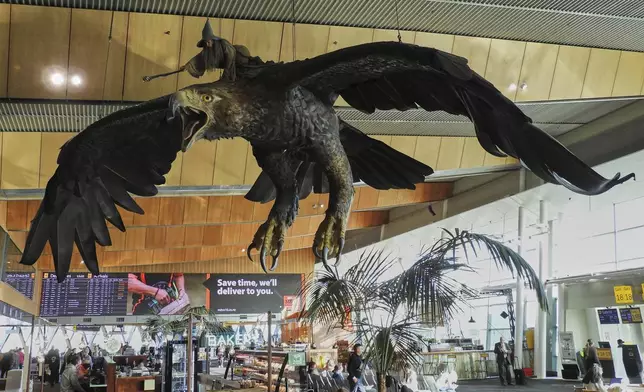 A sculpture of an eagle from the Hobbit films, ridden by the wizard Gandalf, hangs over the food court area of Wellington Airport, in Wellington, New Zealand, Monday, May 5, 2025. (AP Photo/Charlotte Graham-McLay)